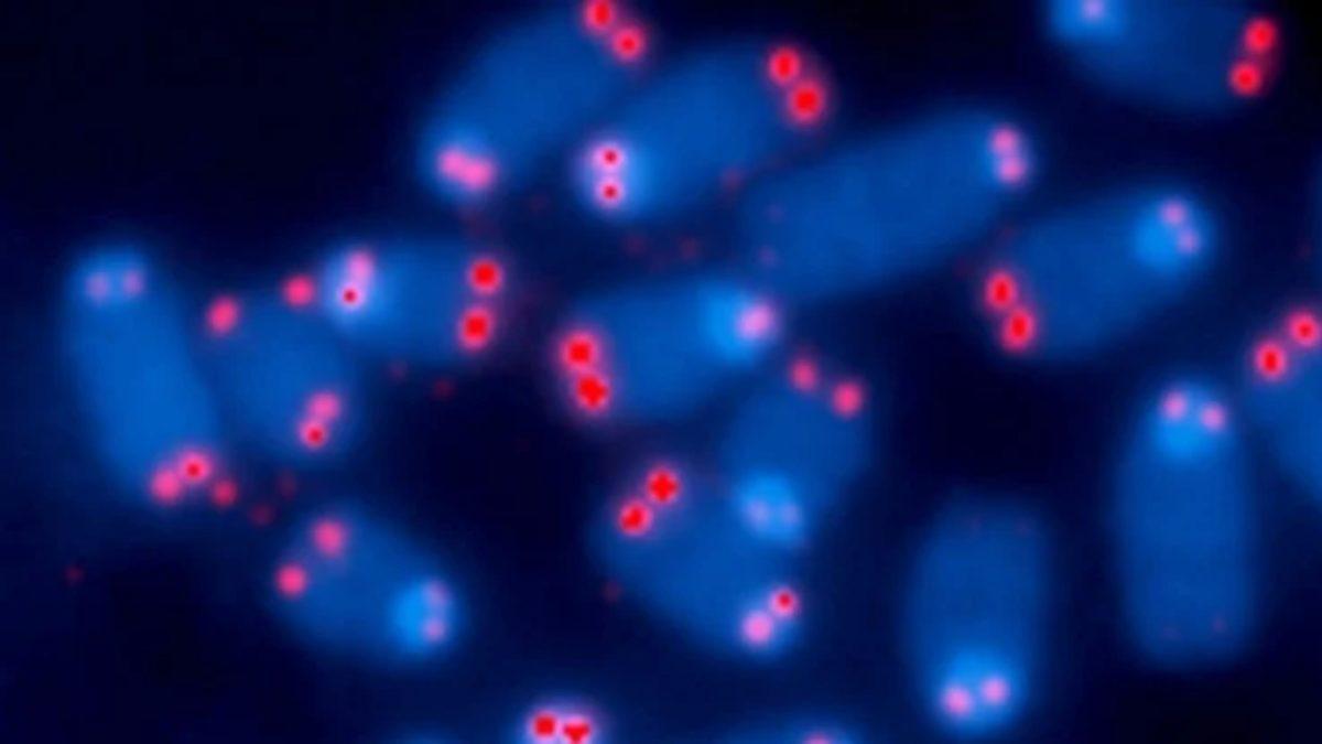 Zombiler İçimizde: Vücudumuzda Yaşlandıkça Artan Zombi Hücreler Keşfedildi