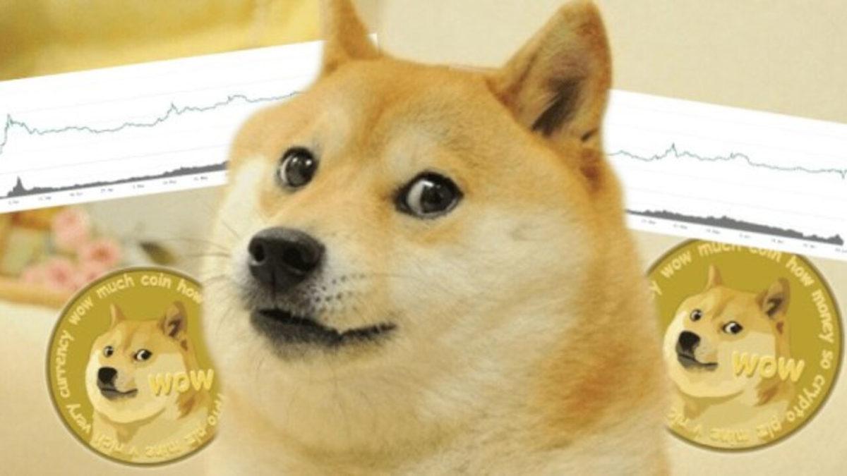 ‘DOGE Katili’ Olarak Sunulan Shiba Inu (SHIB) Nedir, Nasıl Alınır?