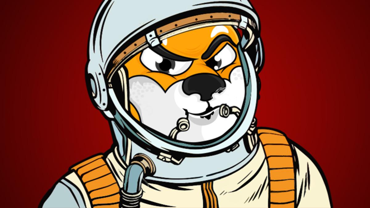 ‘DOGE Katili’ Olarak Sunulan Shiba Inu (SHIB) Nedir, Nasıl Alınır?