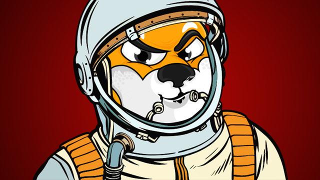 ‘DOGE Katili’ Olarak Sunulan Shiba Inu (SHIB) Nedir, Nasıl Alınır?