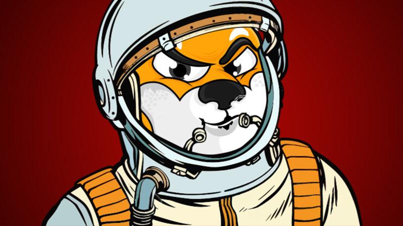 ‘DOGE Katili’ Olarak Sunulan Shiba Inu (SHIB) Nedir, Nasıl Alınır?