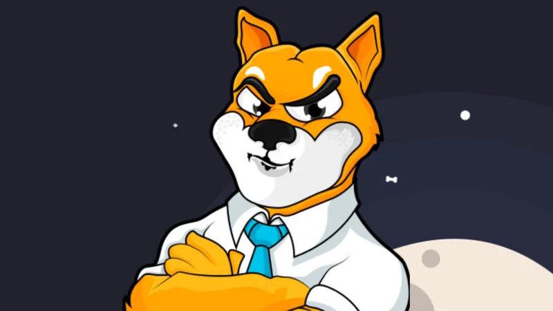 Binance’te Listeleneceği Açıklanan Shiba Inu (SHIB) Uçuşa Geçti: Fiyatı 1 Saatte %46 Arttı