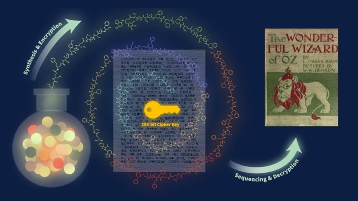 Bilim İnsanları, Oz Büyücüsü Kitabını Kodlayarak 