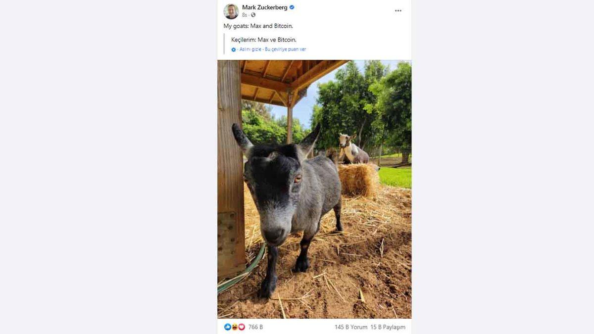 Mark Zuckerberg, Keçilerinden Bir Tanesinin İsminin ’Bitcoin’ Olduğunu Açıkladı