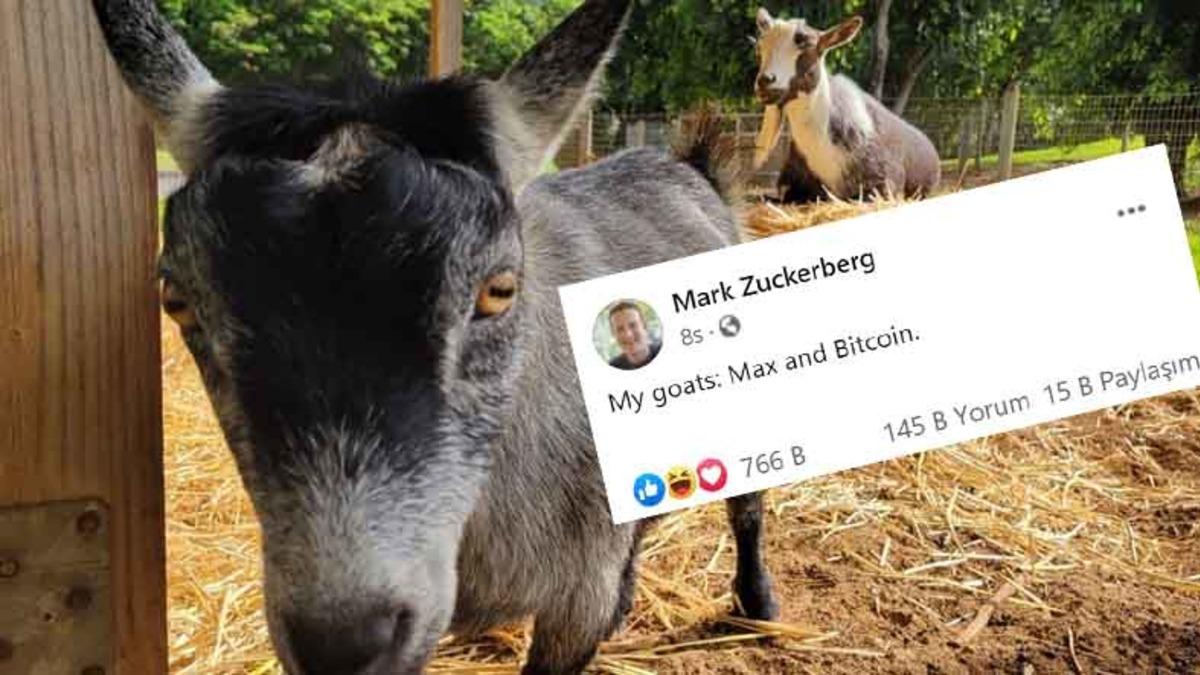 Mark Zuckerberg, Keçilerinden Bir Tanesinin İsminin ’Bitcoin’ Olduğunu Açıkladı