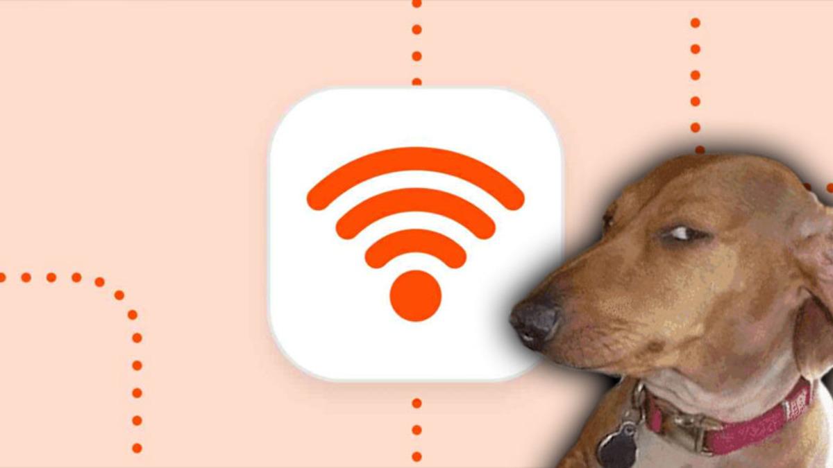 Komşusunun İnternetini En Çok ’Ödünç Alan’ Ülkeler Açıklandı: İşte Şaşırtan Sonuçlar