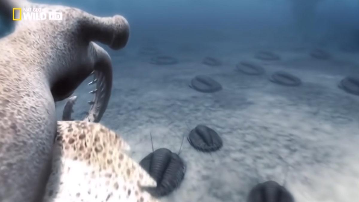 Artık Terk Etmenin Yollarını Aradığımız Dünya Nasıl Oluştu? 4,6 Milyar Yılı 22 Dakikada Anlatıyoruz