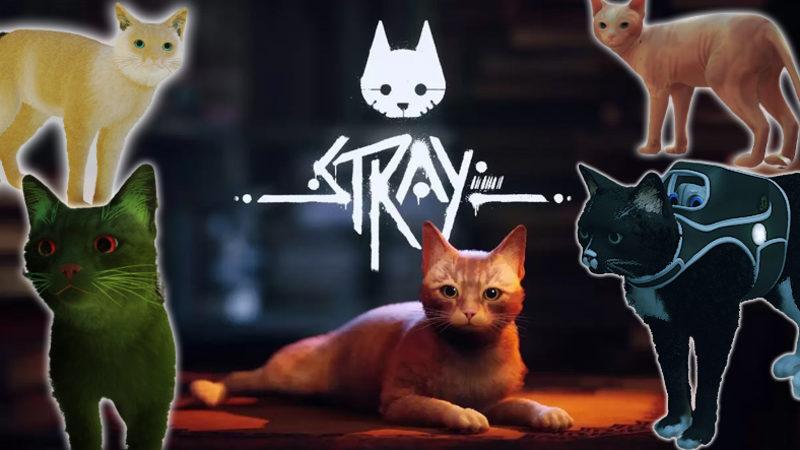 Kedi Simülasyonu Stray, Modcuları Çıldırttı: GTA’nın Efsane Karakteri CJ, ’Kedi’ Oldu