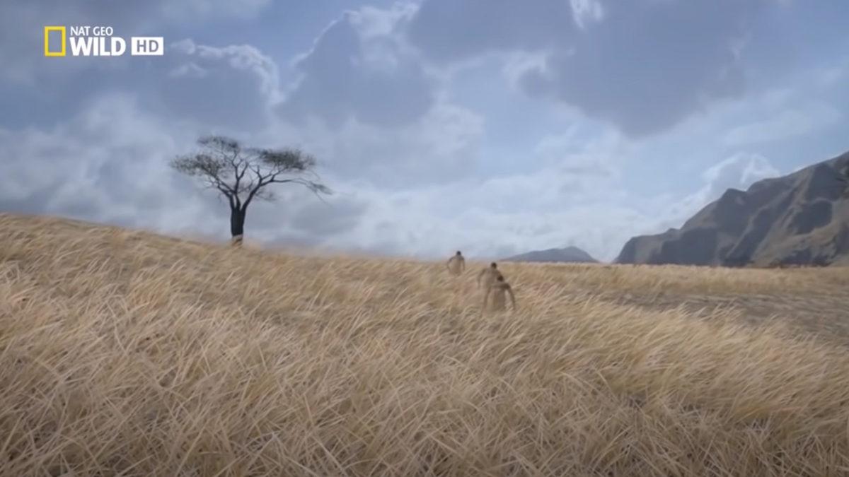 Artık Terk Etmenin Yollarını Aradığımız Dünya Nasıl Oluştu? 4,6 Milyar Yılı 22 Dakikada Anlatıyoruz