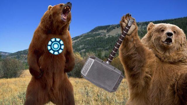 Ayıların Kış Uykusu Sırasında Ölmemek İçin Adeta ’Süper Güç’ Kullandığı Keşfedildi