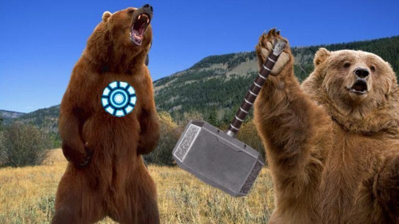 Ayıların Kış Uykusu Sırasında Ölmemek İçin Adeta ’Süper Güç’ Kullandığı Keşfedildi