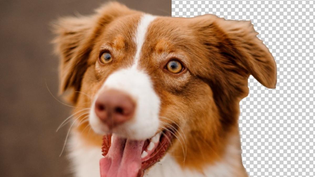 Arka Planı Saydam Görseller İçin Kullanılan ’PNG Formatı’ Nedir, Ne İşe Yarar, Nasıl Yapılır?