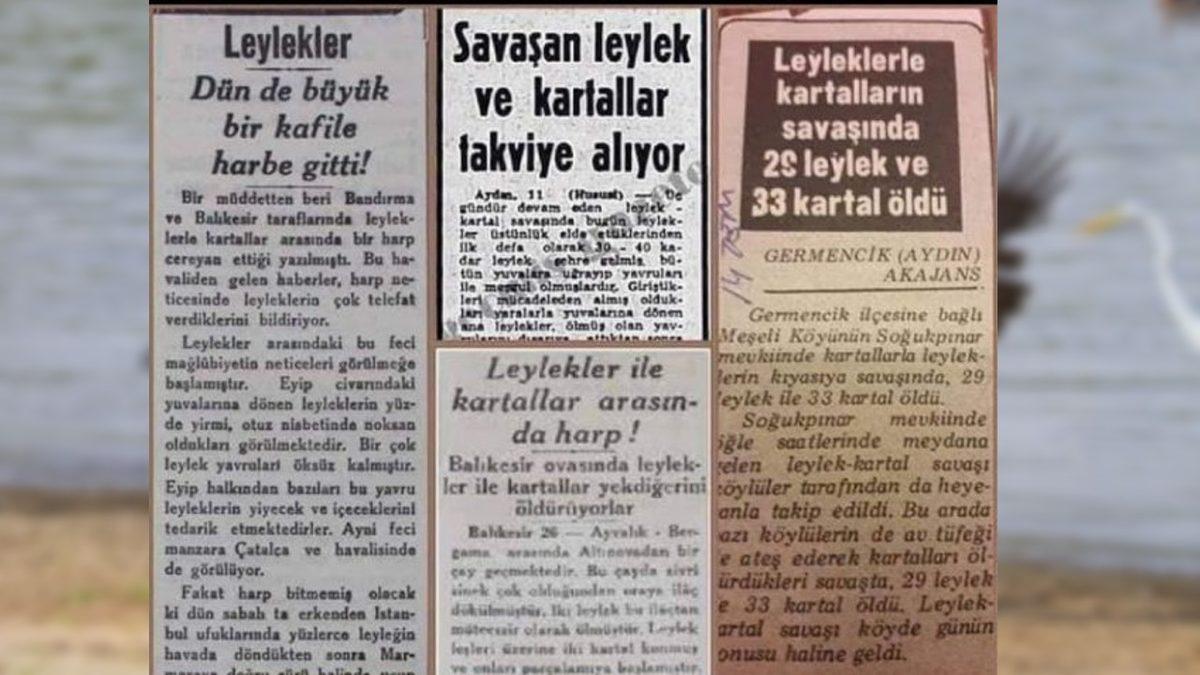 Türkiye’de Yaşanıp Times’a Bile Konu Olan Kartallarla Leylekler Arasında Geçen Efsane Savaş