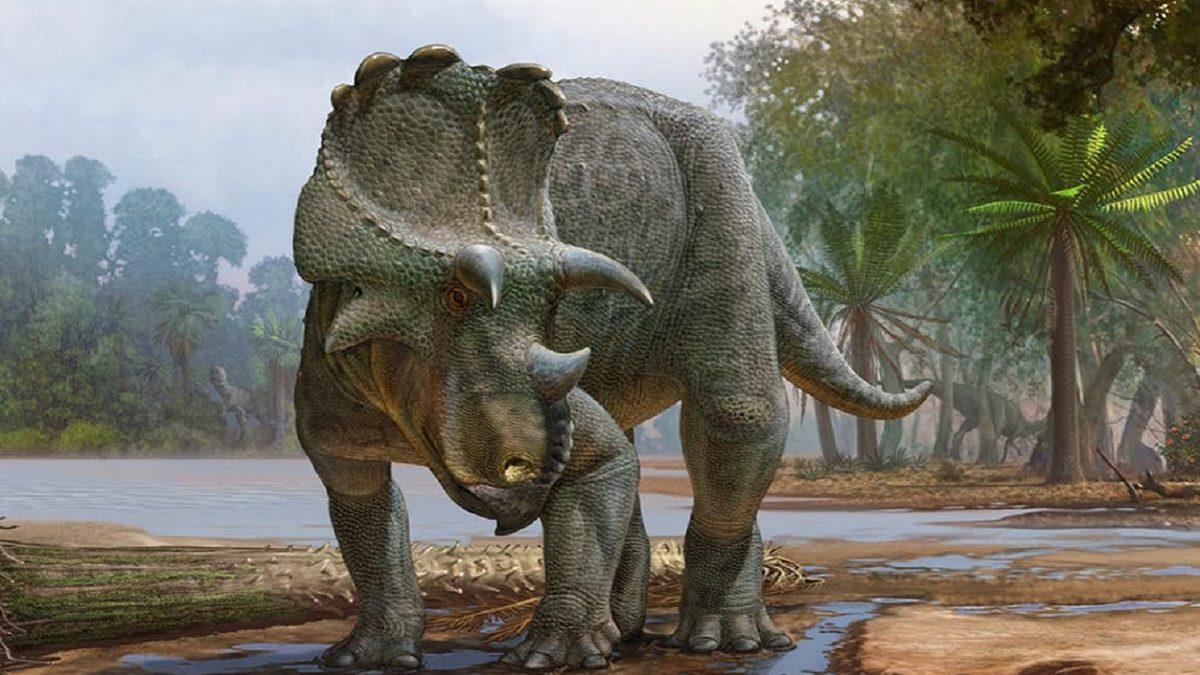 82 Milyon Yıl Önce Yaşamış Yeni Bir Boynuzlu Dinozor Türü Keşfedildi