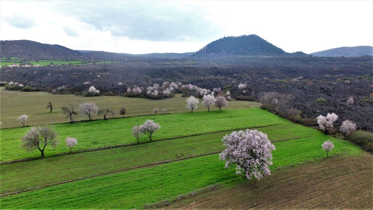 Türkiye Bir Zamanlar Lav Püskürten Yanardağlara Sahipti: İşte Ülkemizde Eskiden Aktif Olan Yanardağlar ve Özellikleri