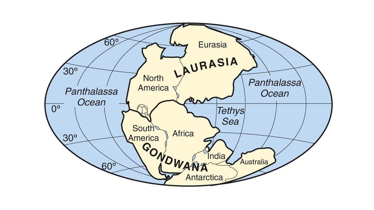 Milyonlarca Yıl Önce Anadolu’nun Üzerinde İşte Böyle Bir Deniz Vardı... Peki Tetis Denizi’ne Ne Oldu?
