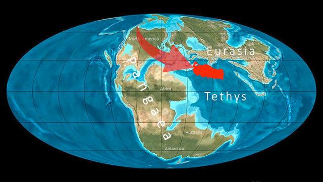 Milyonlarca Yıl Önce Anadolu’nun Üzerinde İşte Böyle Bir Deniz Vardı... Peki Tetis Denizi’ne Ne Oldu?