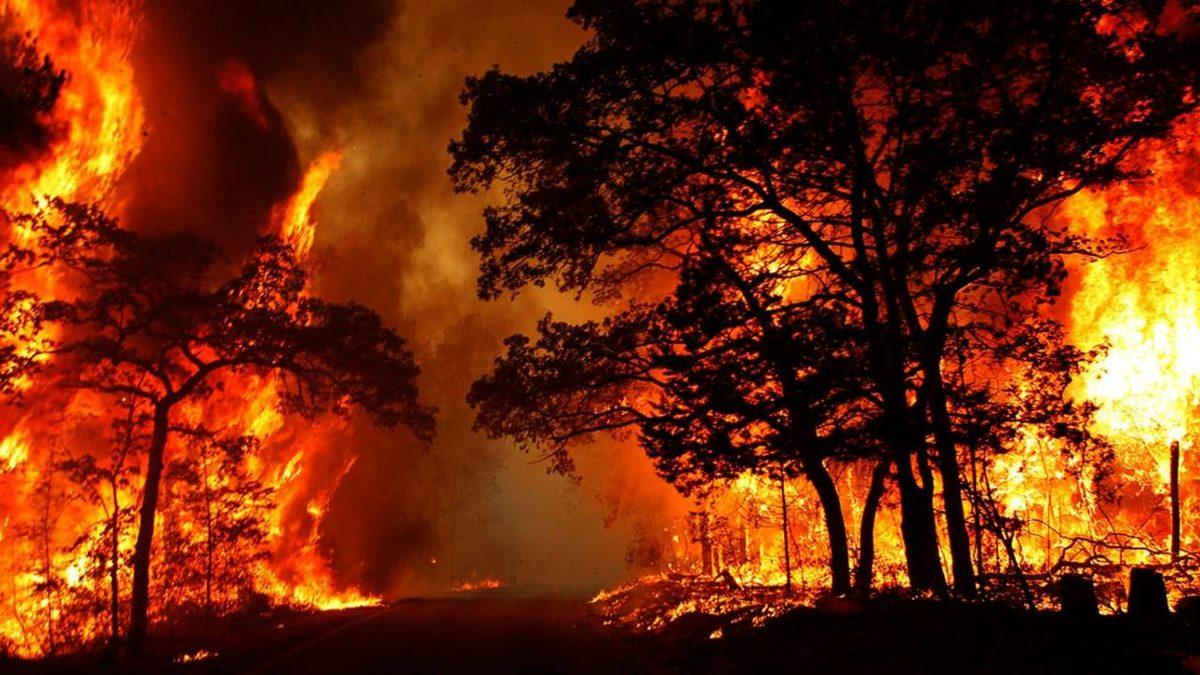 On Binlerce Kişinin Sıcaktan Ölmesine Sebep Olan Hava Olayı ’Isı Kubbesi’ ve İnsanlara Cehennemi Yaşatan Etkileri