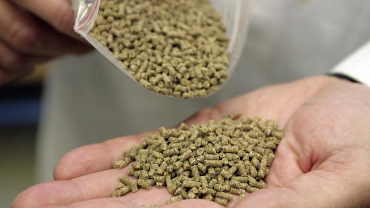 Bu Bilimsel Araştırmaların Sonuçlarını Görünce Et Yemeye Bakış Açınız Tamamen Değişecek