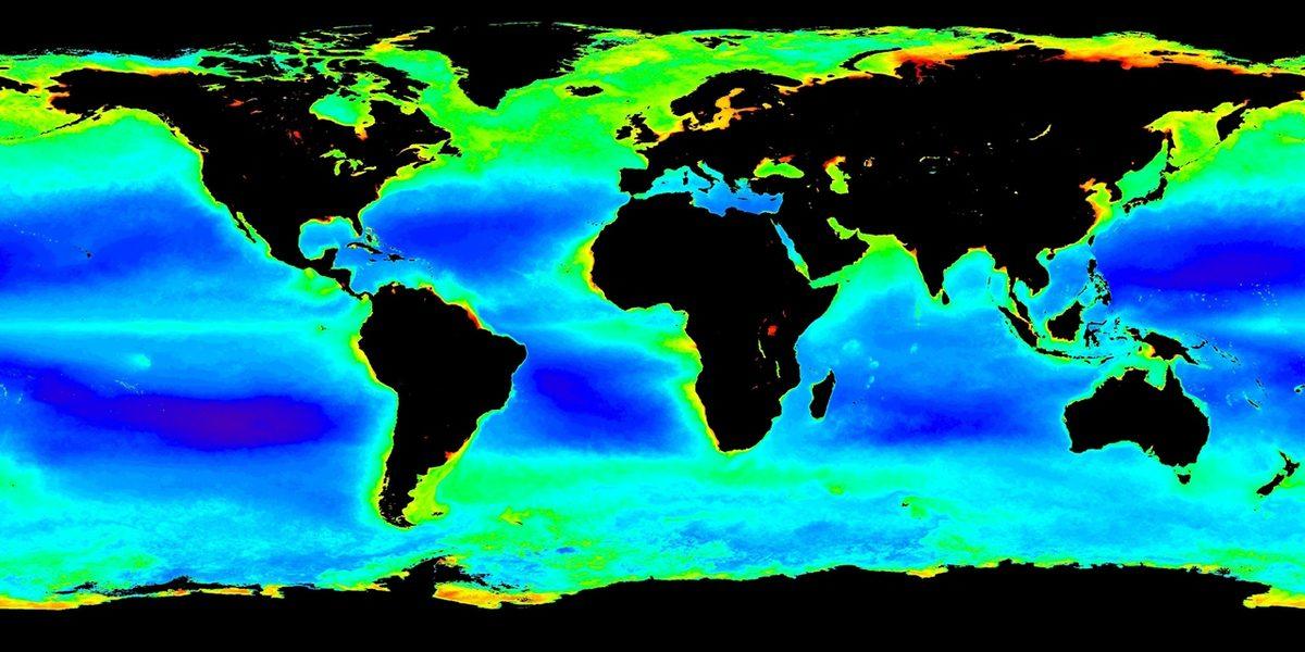 Okyanusa Açılan Denizciler Yiyecekleri Bitse Bile Neden Balık Tutmazlardı?