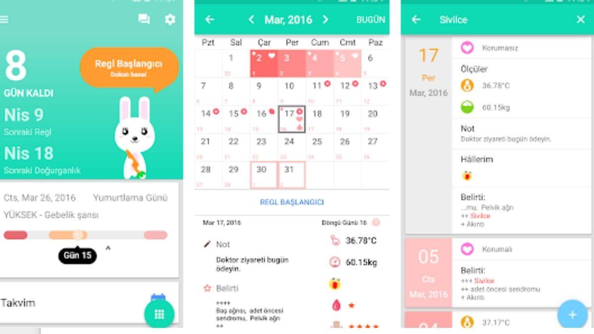 Yumurtlama Zamanı Hesaplamak İçin Kullanılabilecek 6 Uygulama