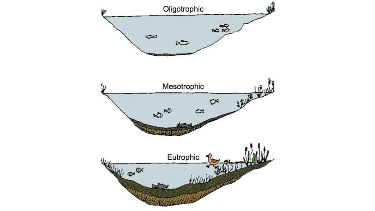 Okyanusa Açılan Denizciler Yiyecekleri Bitse Bile Neden Balık Tutmazlardı?