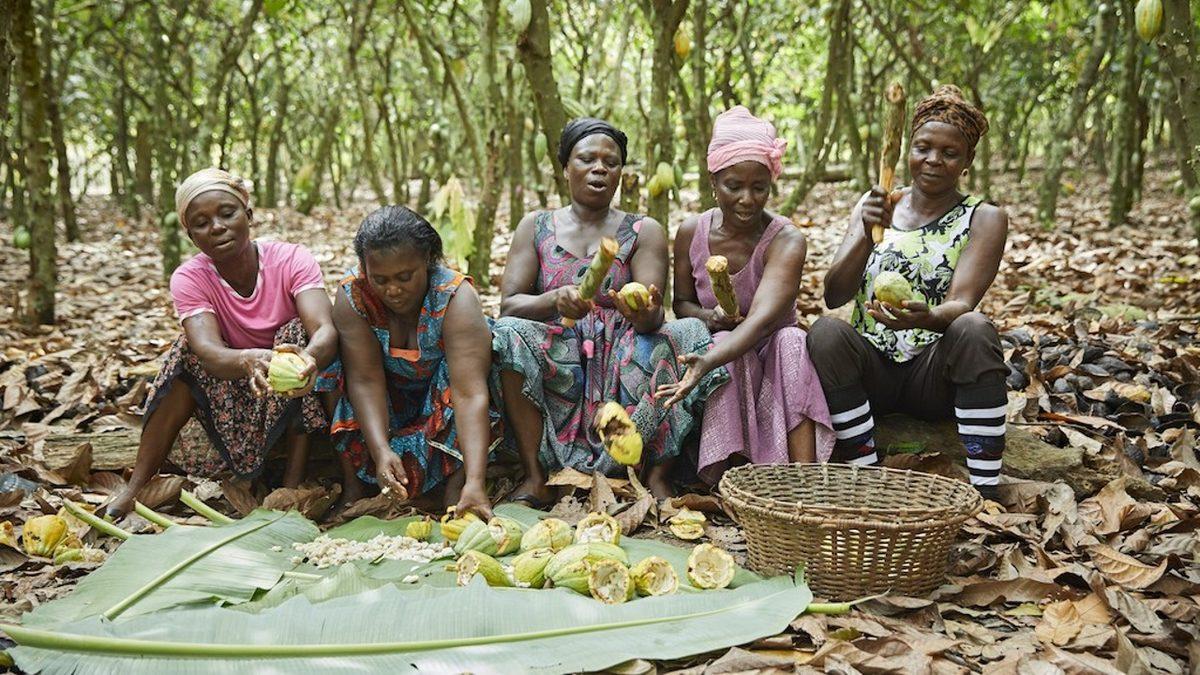 Bizim İçin Çikolata Üretmelerine Rağmen Çikolatanın Tadını Bile Bilmeyen Çocuk İşçilerin Hikâyesi