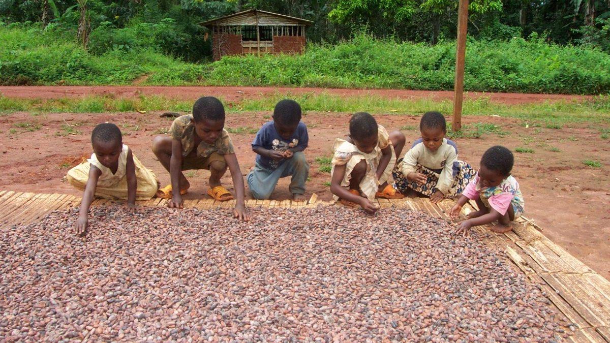 Bizim İçin Çikolata Üretmelerine Rağmen Çikolatanın Tadını Bile Bilmeyen Çocuk İşçilerin Hikâyesi