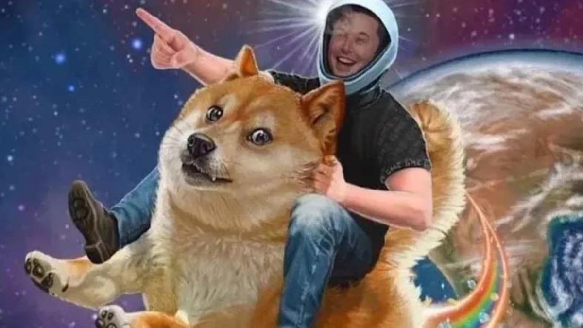 Dogecoin, Twitter Türkiye’de #DelistDoge ile Neden Trend Oldu?