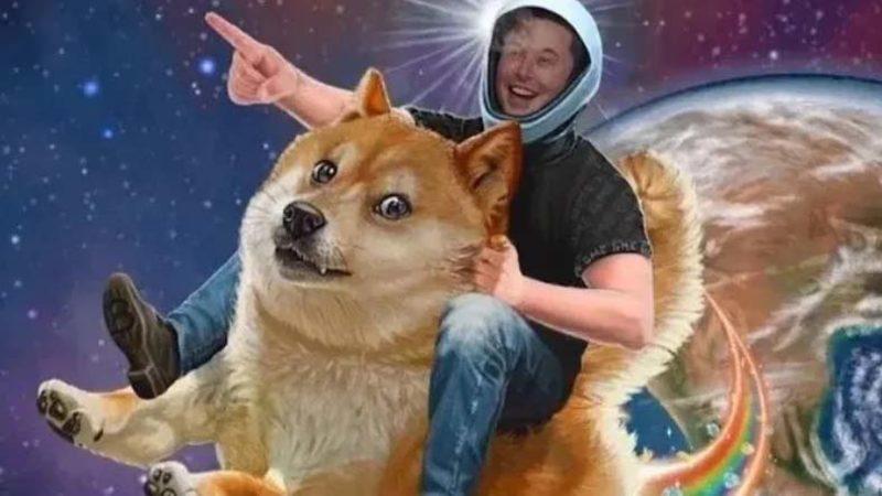 Dogecoin, Twitter Türkiye’de #DelistDoge ile Neden Trend Oldu?