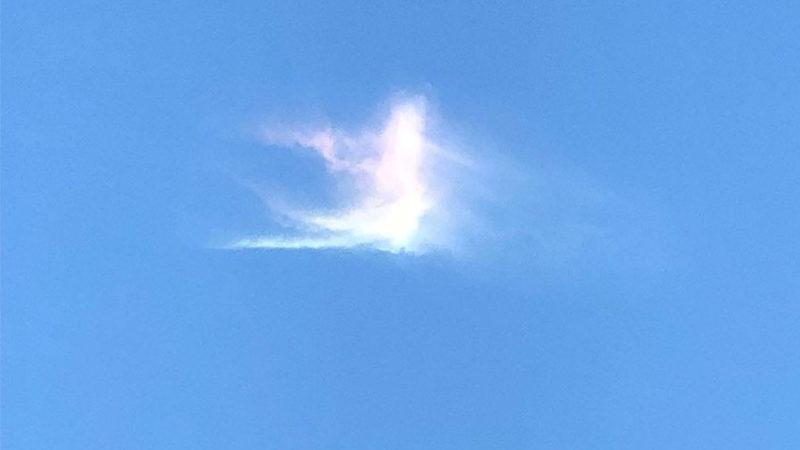 Soğuk İklimli Bölgelerde Rastlanan Ateş Gökkuşağı, Adana’da Görüldü