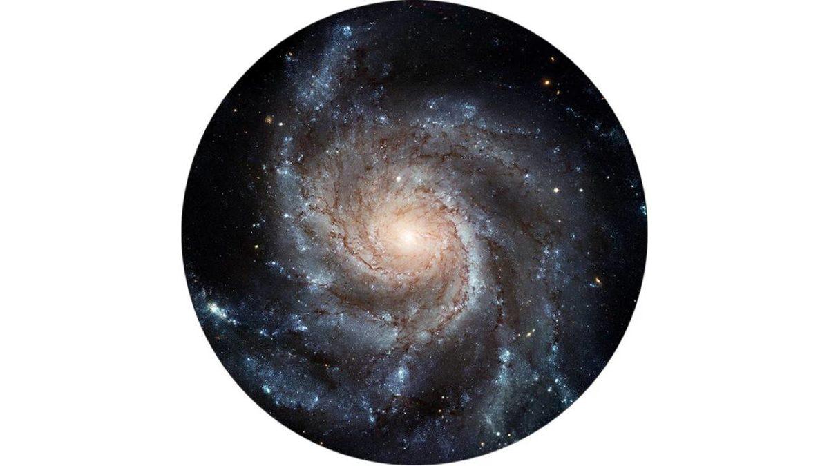 Yeterince Uzaklaşıp Evrenin Tamamına Bakabilseydik Hangi Şekli Görürdük?