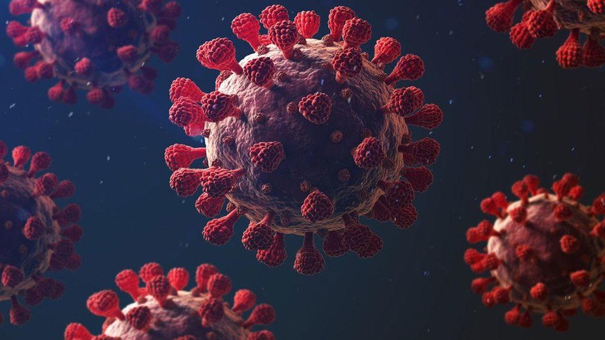 Dünya Genelinde COVID-19 Vakalarının %2,07’si Hayatını Kaybetti: Türkiye’de Durum Nasıl?