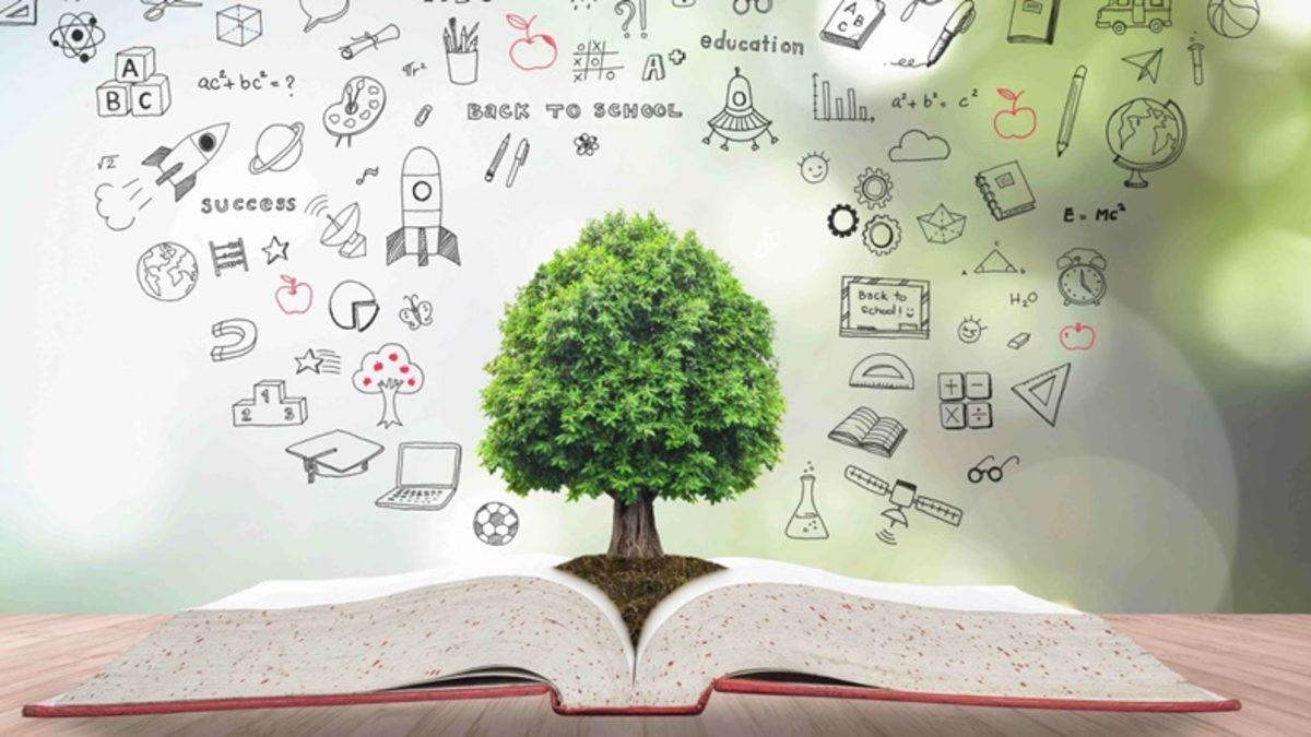 ’Kötü Bir Üniversiteye Gitmek Yerine Hiç Okumam Daha İyi’ Düşüncesi Gerçekten Mantıklı Bir Tercih mi?