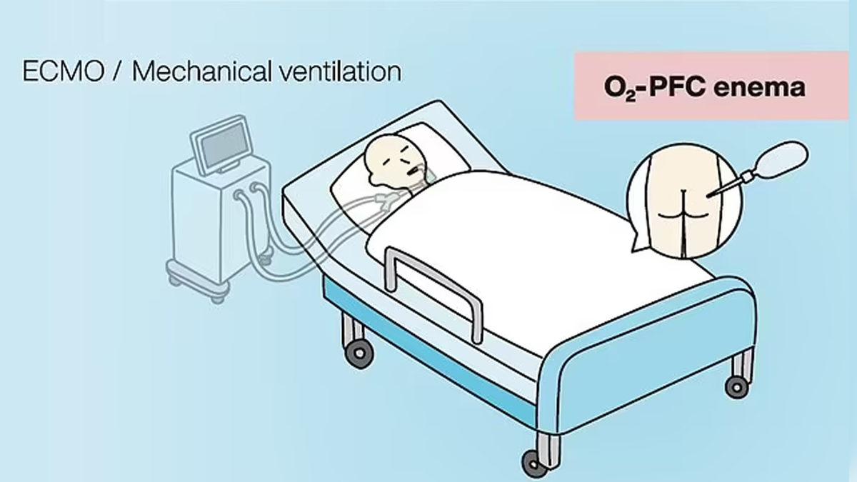 Domuzlar ve Kemirgenlerin Popolarından Nefes Alabildiği Ortaya Çıktı