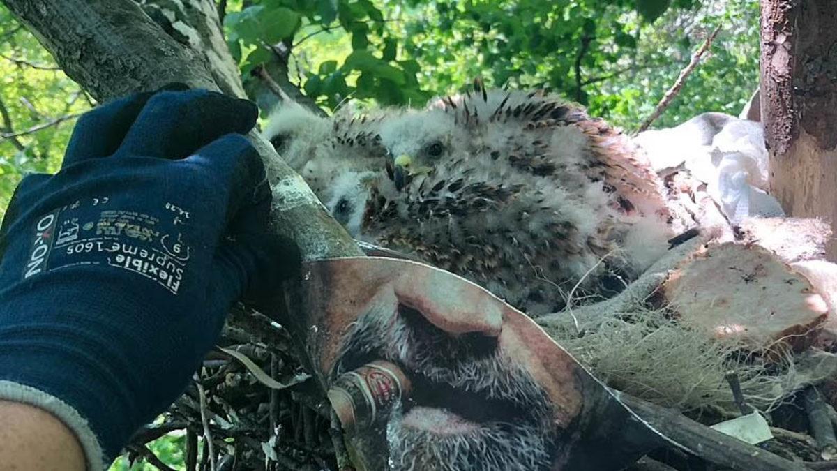 Pandemide Kendi Hayatımızı Kurtarırken Doğayı Nasıl ’Öldürdüğümüzü’ Gösteren 12 Fotoğraf