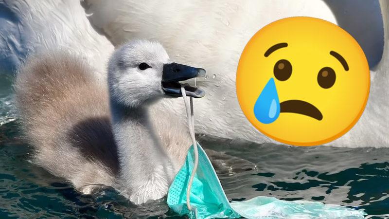 Pandemide Kendi Hayatımızı Kurtarırken Doğayı Nasıl ’Öldürdüğümüzü’ Gösteren 12 Fotoğraf