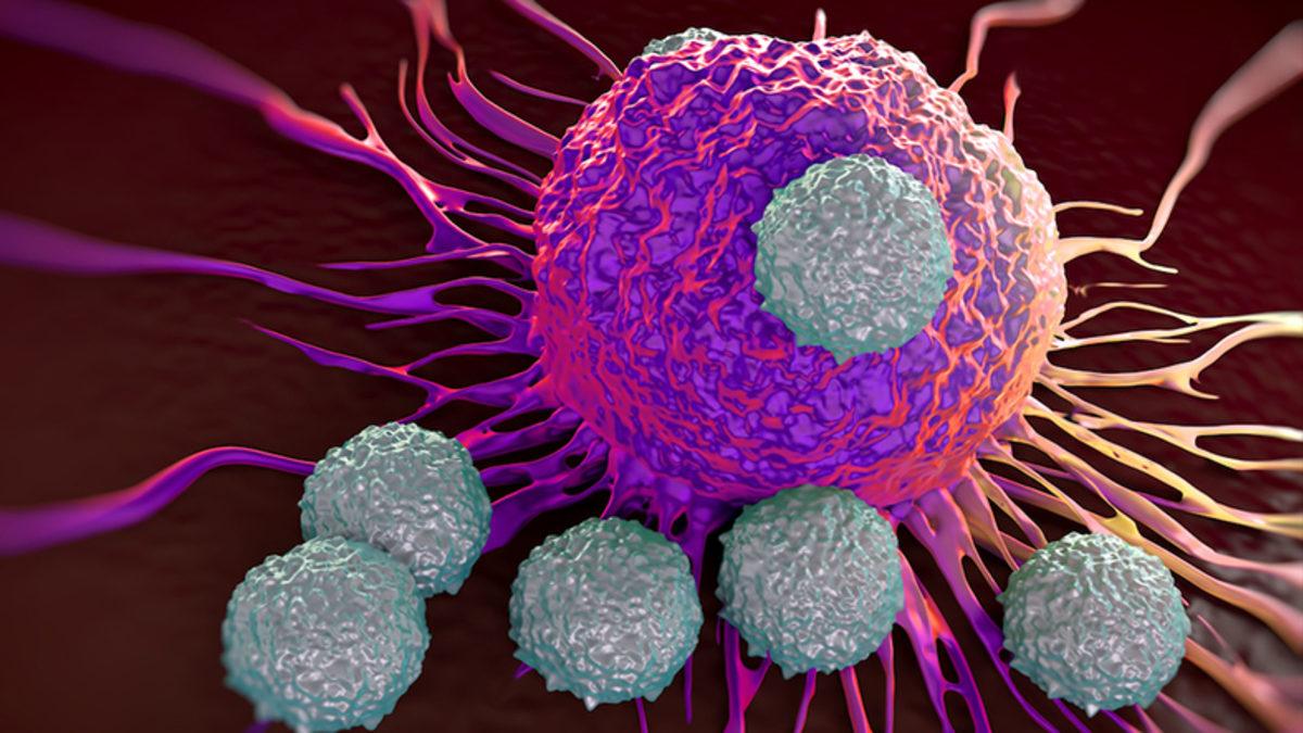 Bilim İnsanları Yeni ‘Suikastçı’ Hücreler Keşfetti: Kansere Çare Bulunmuş Olabilir