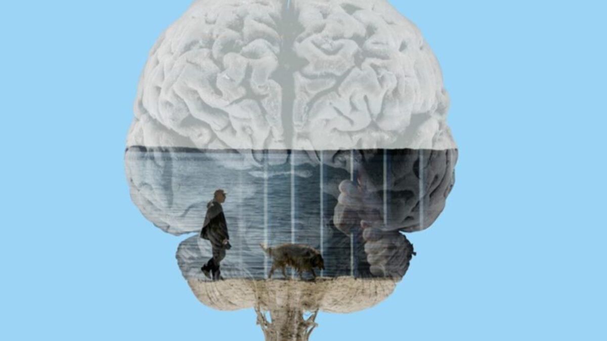 Filmlerde Sık Sık Gördüğümüz ’Doğruları Söyleten İlaç: Sodyum Pentotal’ Gerçekten de Var mı?