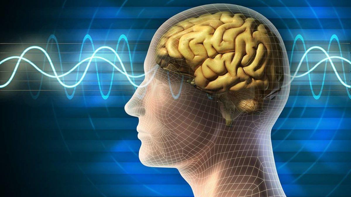 Bilim İnsanları, İnsan Beyninde Hareket Eden Bir ’Düşünceyi’ Takip Ettiler [Video]