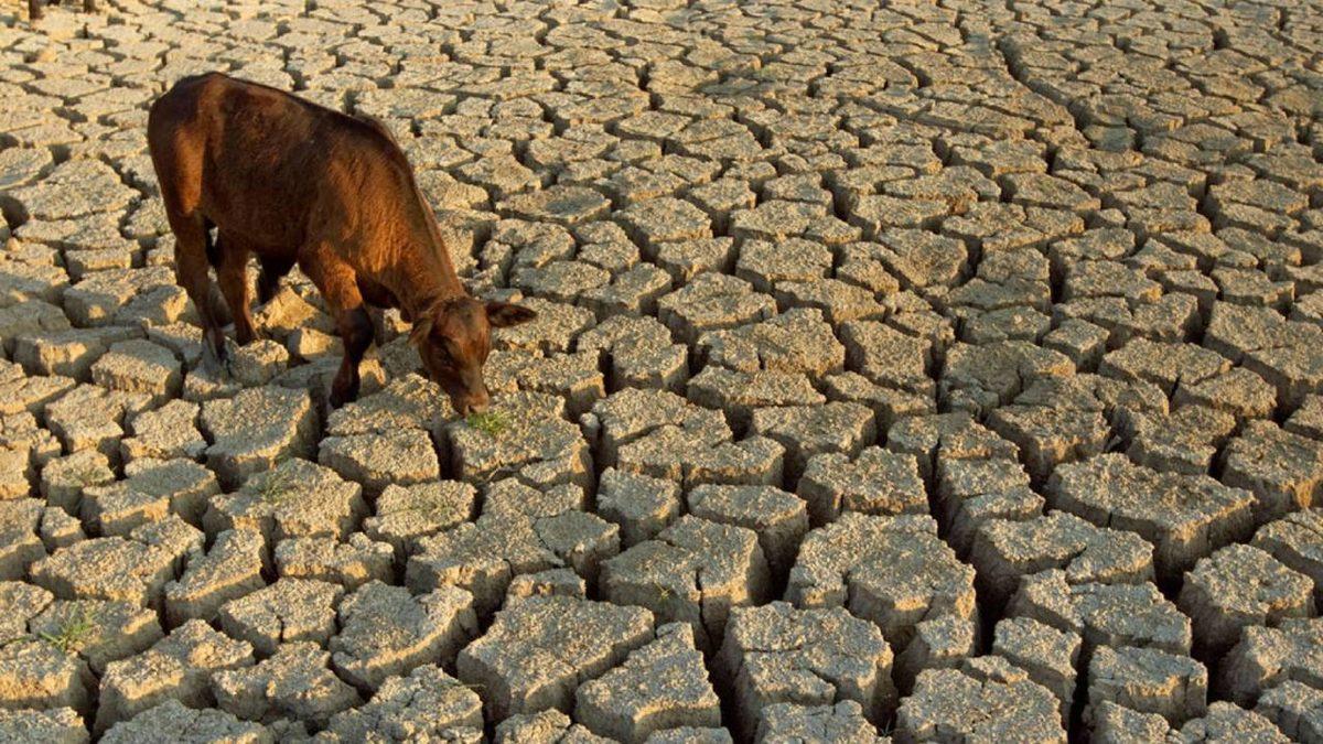 Bir Sabah Aniden 2050 Türkiyesi’nde Uyansaydınız Neyle Karşılaşırdınız?