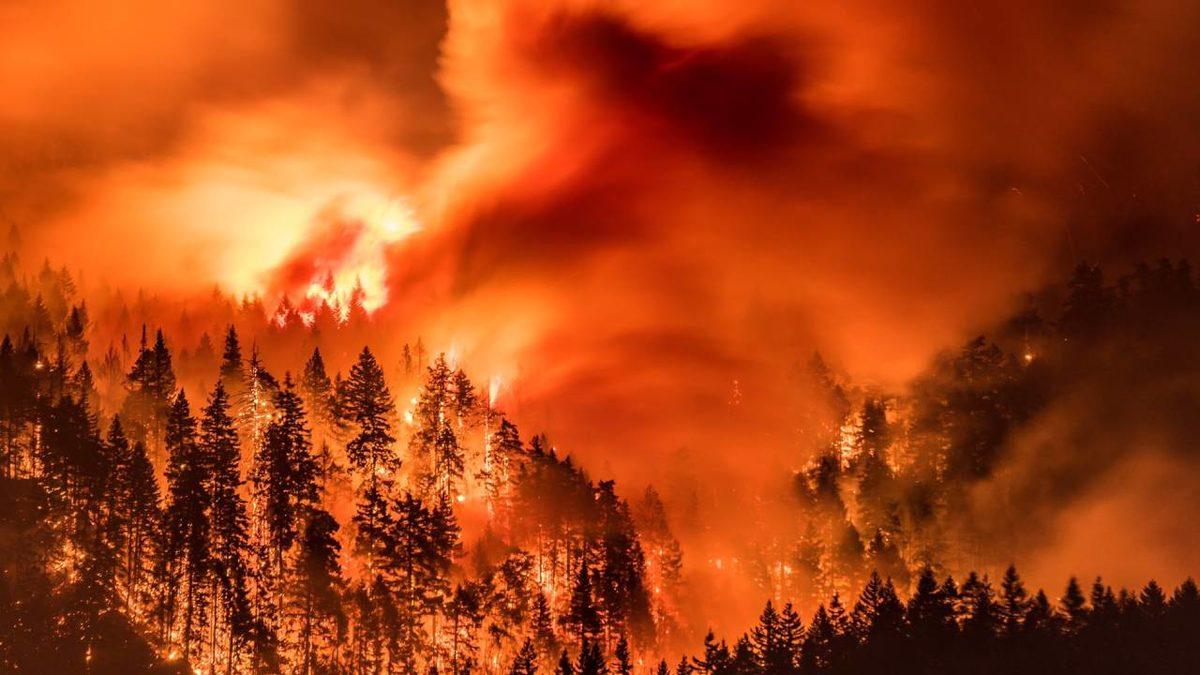 Bir Sabah Aniden 2050 Türkiyesi’nde Uyansaydınız Neyle Karşılaşırdınız?