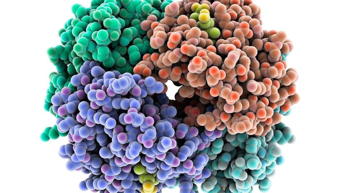 Yapay Zeka, Bilinen Tüm Proteinleri Adeta Yeniden Keşfetti!