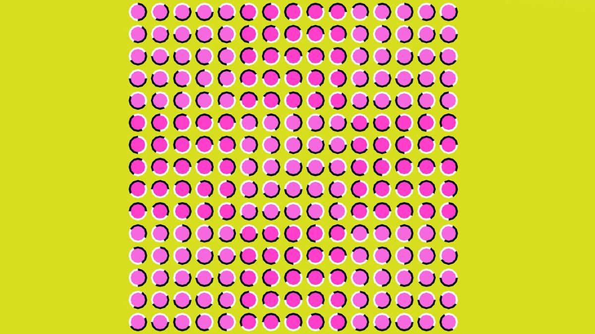 Bu Optik İllüzyonlara Bakınca Kafamızın Allak Bullak Karışmasının Asıl Nedeni