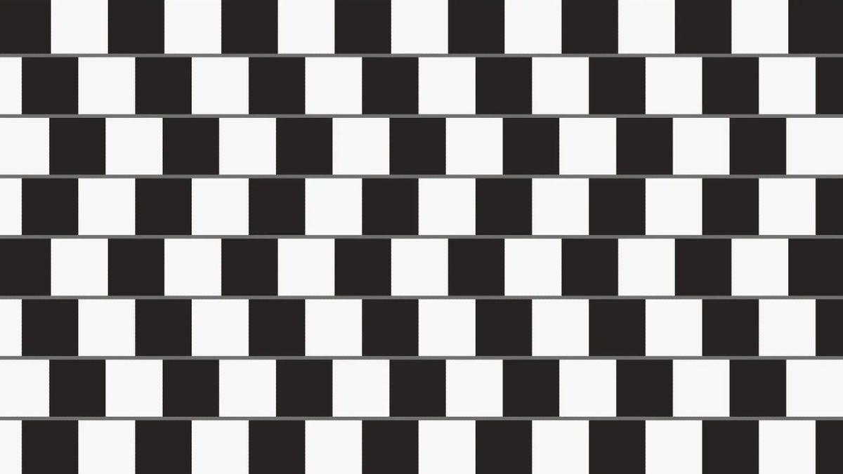 Bu Optik İllüzyonlara Bakınca Kafamızın Allak Bullak Karışmasının Asıl Nedeni