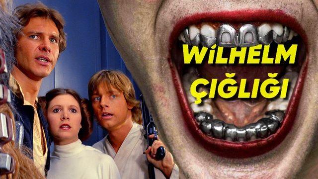 Kulaklarınız Bu Çığlığı Defalarca Kez Duydu Ancak Farkına Bile Varamadınız: İşte Sebebi