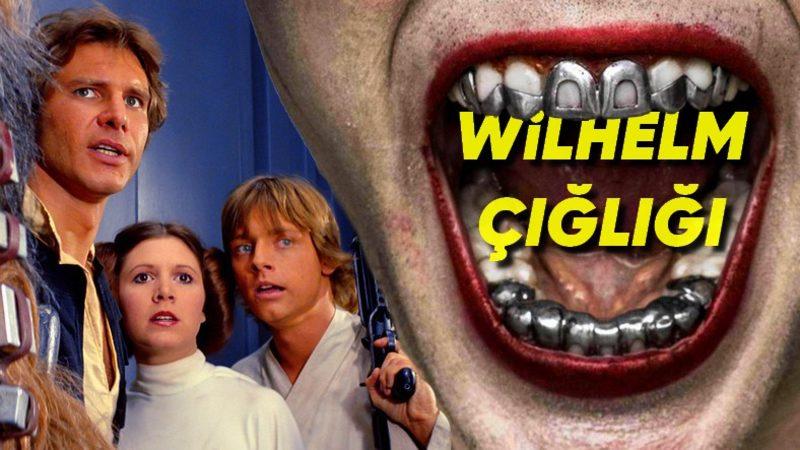 Kulaklarınız Bu Çığlığı Defalarca Kez Duydu Ancak Farkına Bile Varamadınız: İşte Sebebi