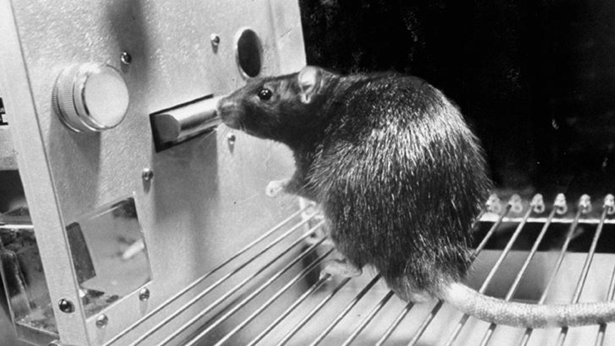 Bilim İnsanlarına Göre Bu 5 Cümleyi Kuruyorsanız ’Çok Sık Aşık Olma’ Rahatsızlığına Sahipsiniz