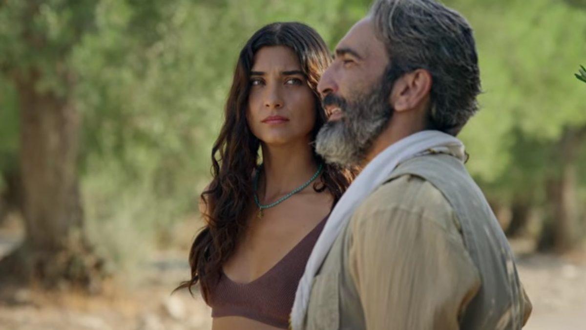 Netflix Dizisi Zeytin Ağacı ile Gündem Oldu: ’Aile Dizimi’ Adlı Enteresan Tedavi Yöntemi de Neyin Nesi? [İNCELEME]
