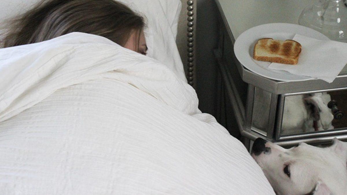 Hastalandığınızda İştahınızın Kesilme Nedenini Öğrenince Metabolizmanıza Olan Saygınız Artacak